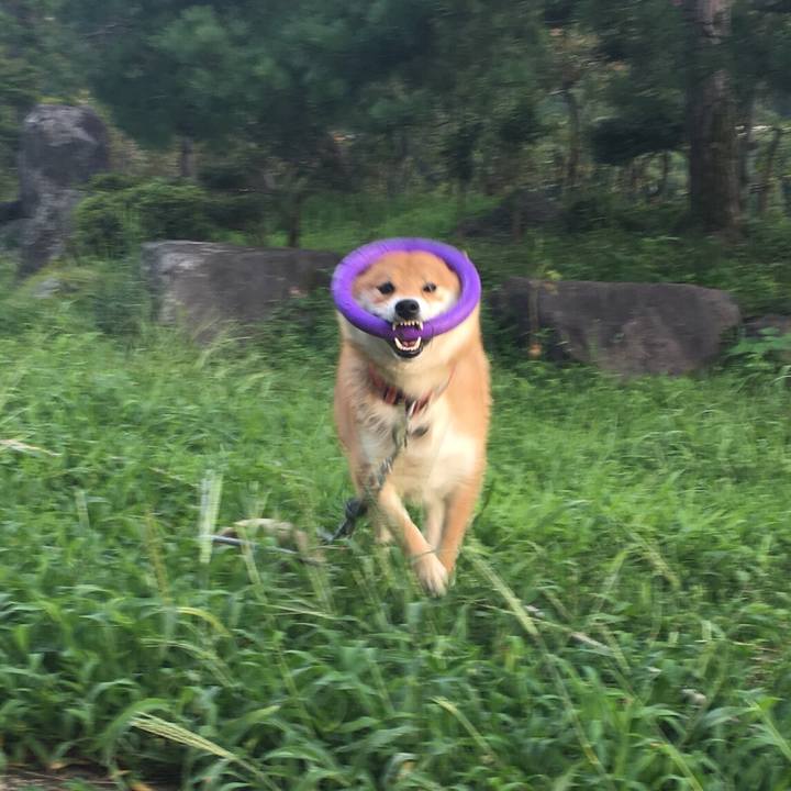 Efbbc9ae 6d08 4ec7 b41b 6c811633e5c5 1536657834193