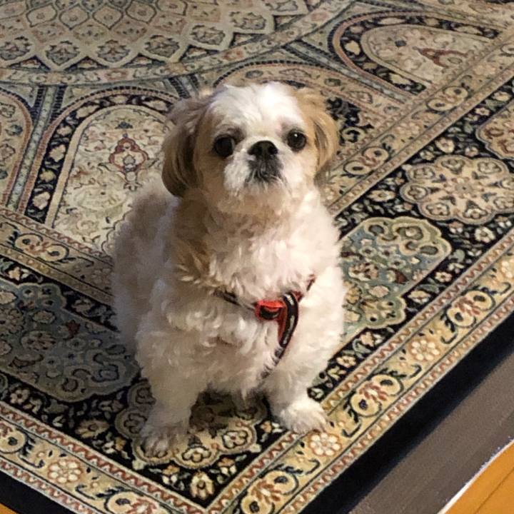 Efbc2a9a 1a76 40f4 803d 1cea60711a5c 1602625723922