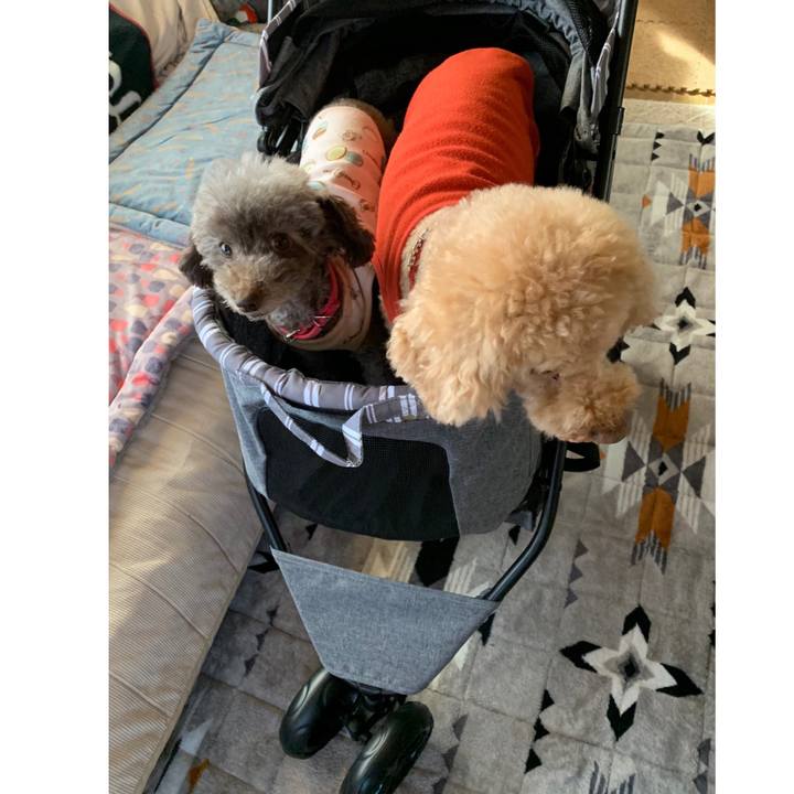 Efbc324a 0dfa 40fc 9578 df42c5fe70b3 1614671752628