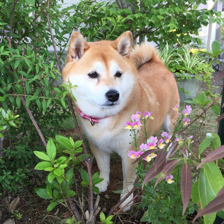 Efbcfe08 49b0 4947 8b4b 05cc62eb85fe 1613628828565