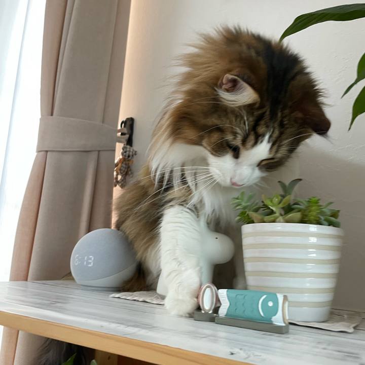 Efbd20f3 9cfe 4c89 baac 27e9ada58bad 1679865638968