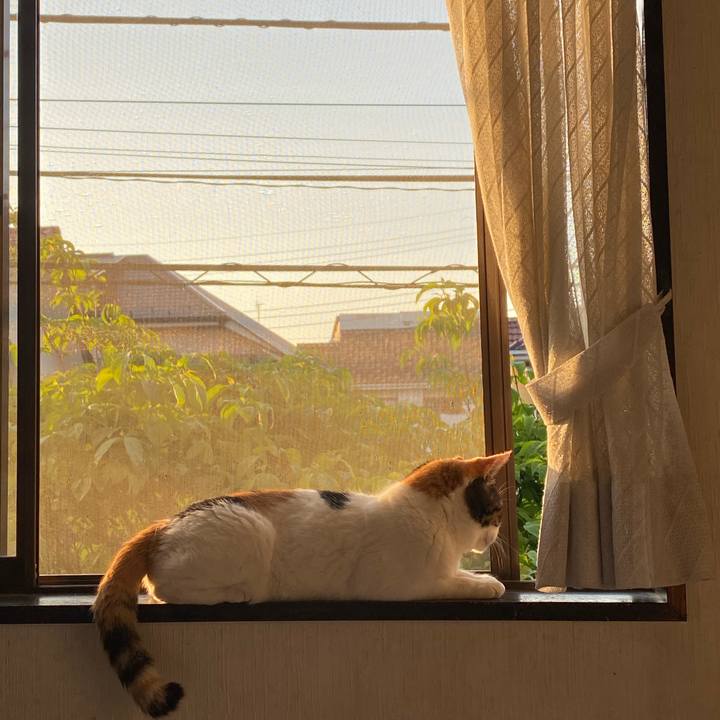 Efbd479e 90ef 4cb8 af55 c379bc55b3a4 1589187762436