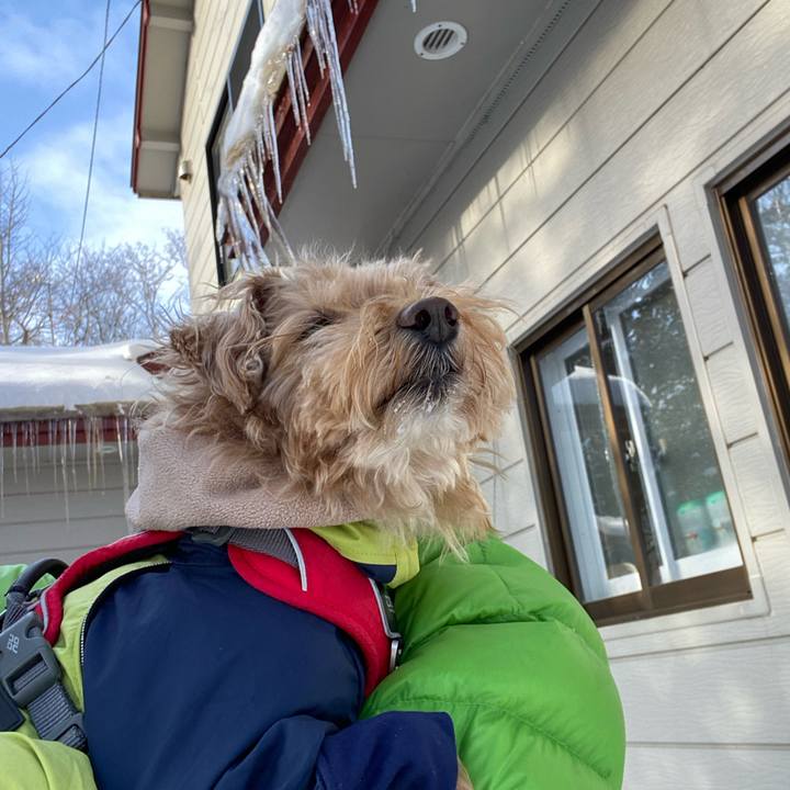 Efbd5d9d 91c7 491f 912e ea5f1bceb55b 1704108121359