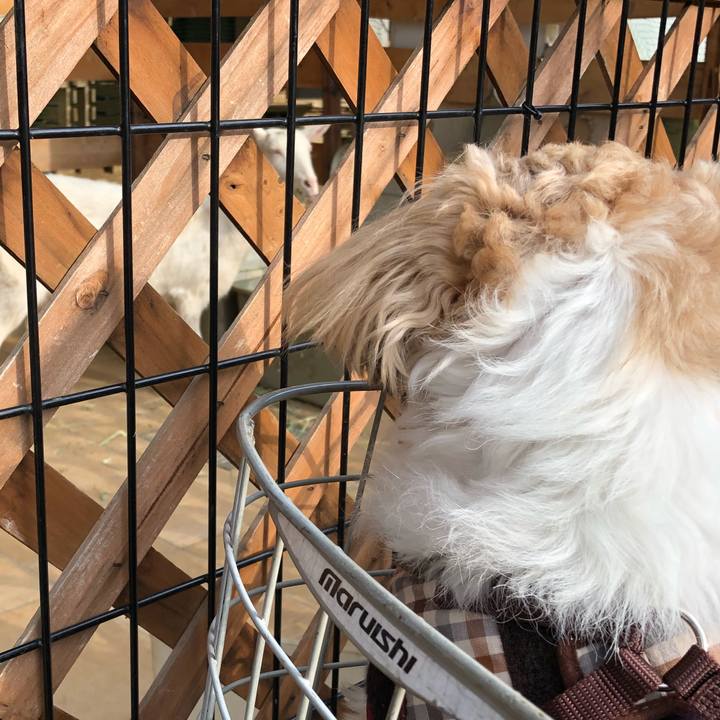 Efbd9084 2581 4722 8129 79499a695979 1518406699779