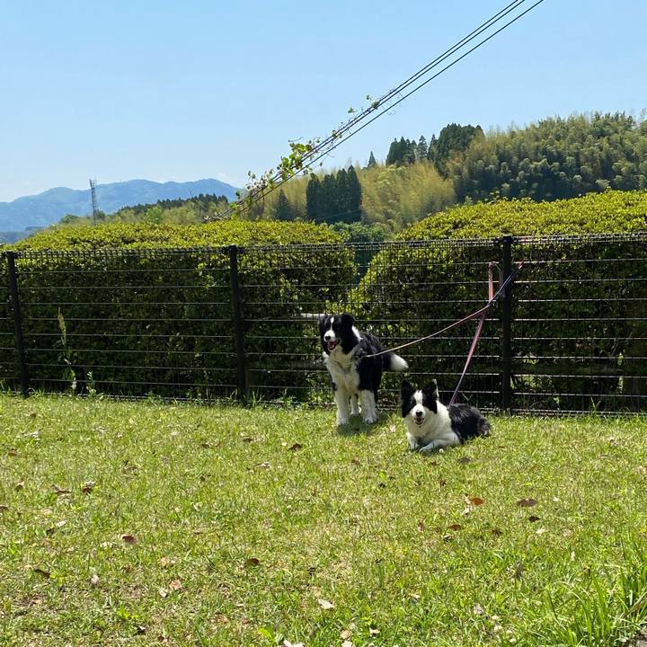 Efbda2e4 7c8b 4c44 ab40 c399a1a5c0b1 1682483666975