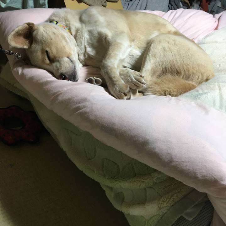 Efbdb5e6 c2d2 4a9b 81c9 4583e1d562f2 1517412324094