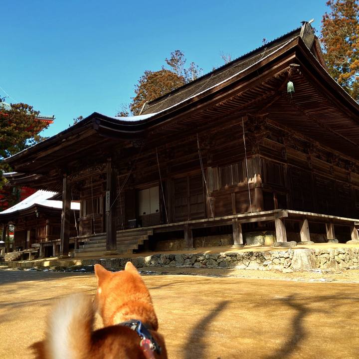 Efbdc275 e1cb 4e51 b50e b9fa6414af58 1767092708557