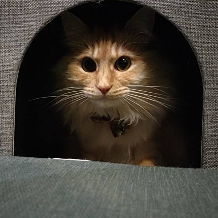 Efbe0040 6120 4a56 af9f 3086a9cf0d66 1707919163443