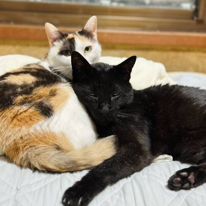 Efbe0731 58dd 4e59 b27b f705e691ed51 1691980132871