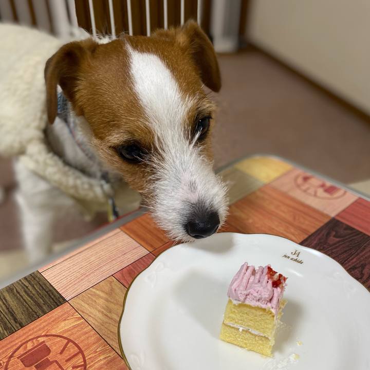 Efbe1d34 57d6 4b19 b1fa 4b19eb60db4b 1766404201353