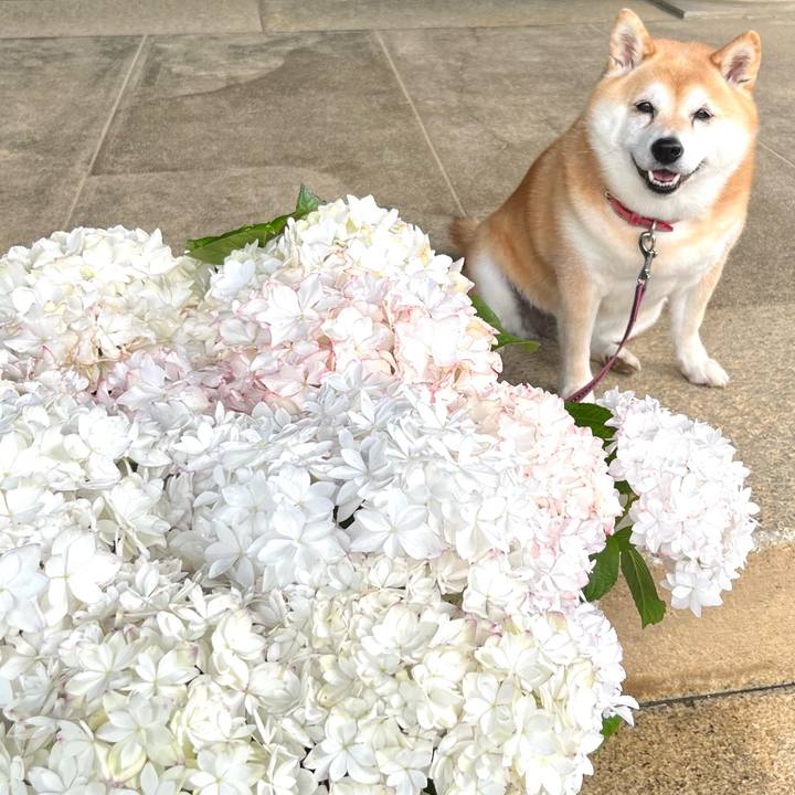 Efbe4606 eb62 4cad 85e6 3be259f0e400 1655045971484