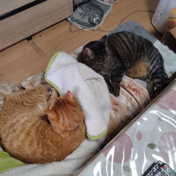 Efbe514b 0596 462b 9102 c46080ec07db 1674783184687