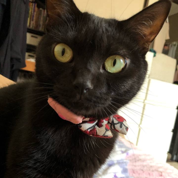 Efbe5ed1 758a 4269 8c79 67cc216aefb9 1572156548712