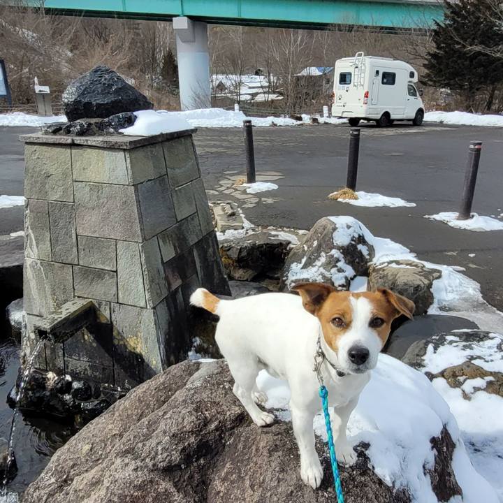 Efbe619a b0ef 4c31 b6fb 7744e21321a3 1769762048657