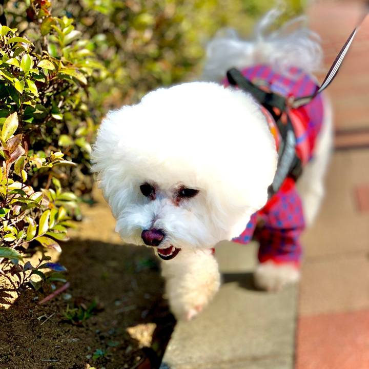 Efbe68cd 1ee3 4b37 bcef 209c79970a37 1645596938328