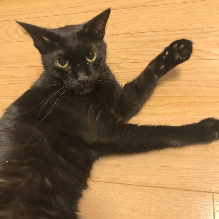 Efbe70ab 64e0 49f8 a5b9 732852aadb3b 1569759856930