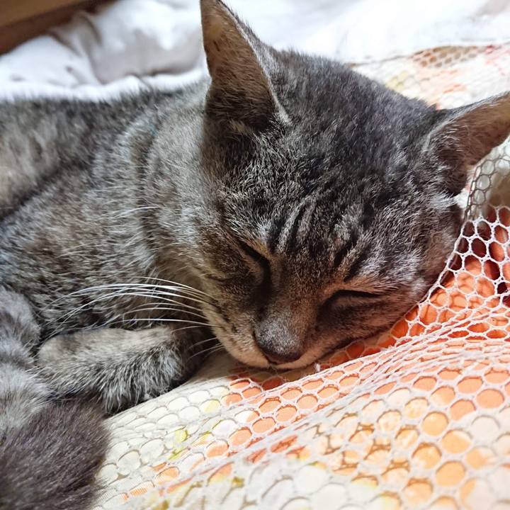 Efbe7d25 ab3c 40c1 80ea 7d352af847df 1602330021692