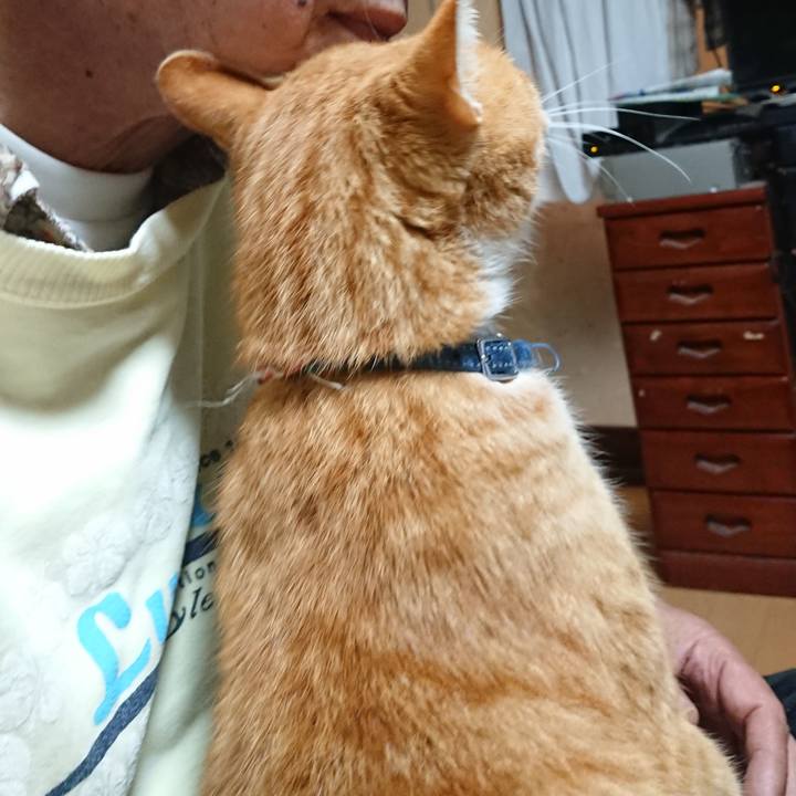 Efbebca0 79b4 45a4 b8f3 b8f2bbbdb6d3 1604693980635