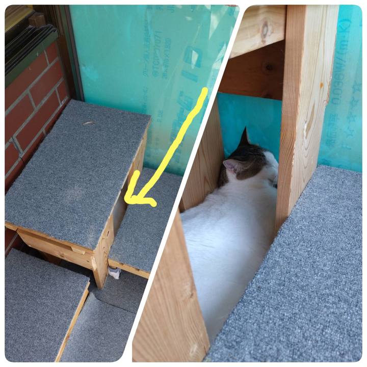 Efbeda97 0d42 4c65 b630 a2a6df236b68 1752390340756