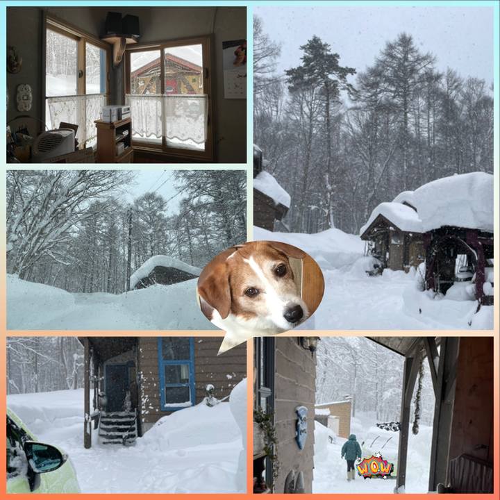 Efbee0ee 5c62 4d1c a956 fe5c42b19476 1642144651852