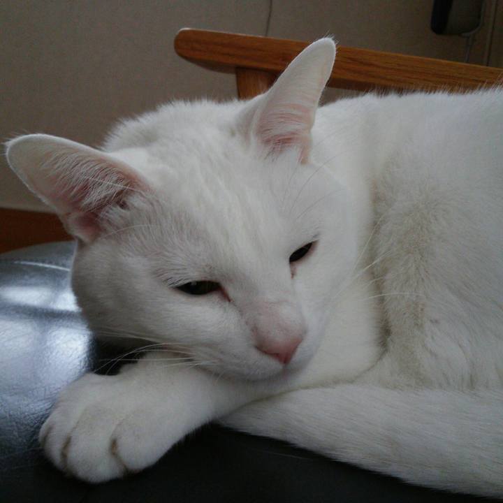 Efbef03c 2d1d 47ec 937c a2fbe0611e49 1518661133587