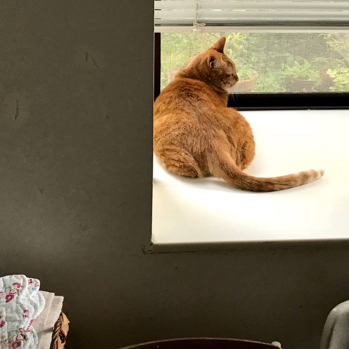 Efbf0f10 2357 4d3f bcb7 55fbe8c3f452 1531892482021