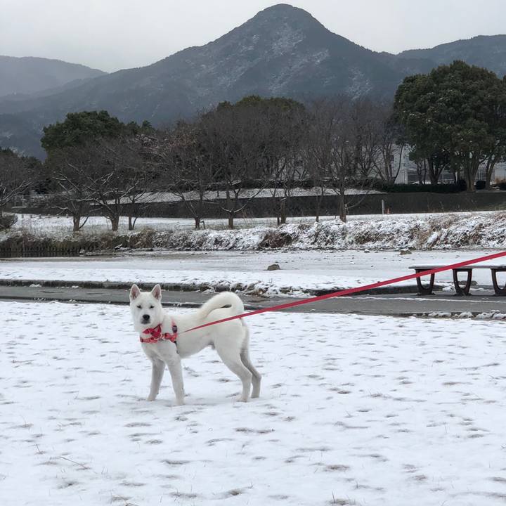 Efbf301c 43fe 42b2 854d a05c2db7b7a9 1518401303300