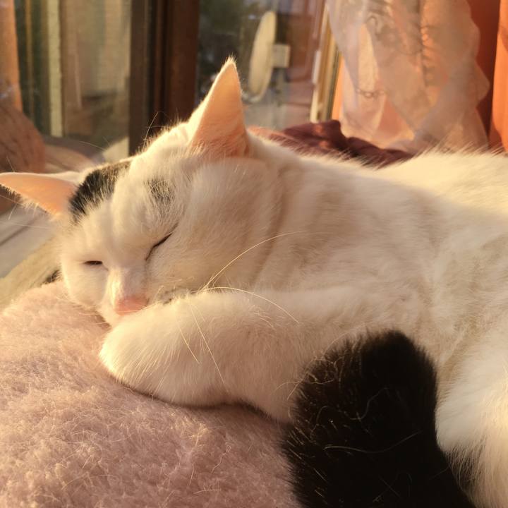 Efbfb80b a7cc 4acd aa49 aef0fdb10d37 1575270788997