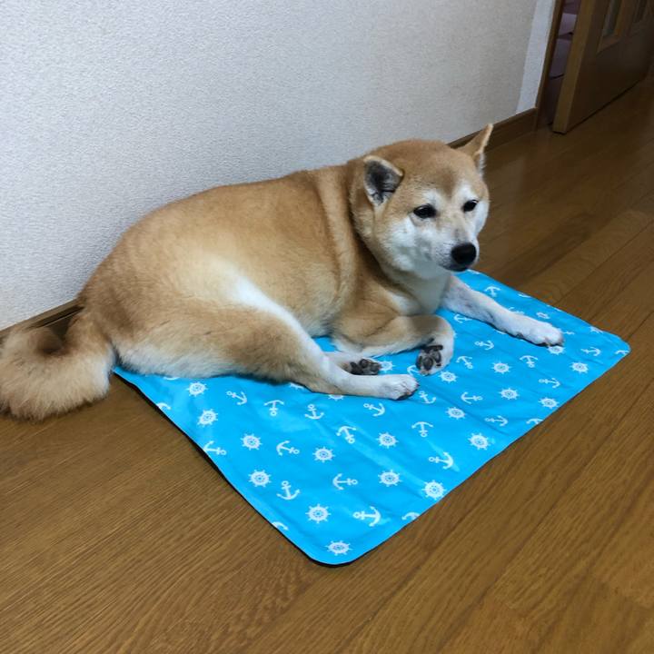 Efc00f15 4c11 4247 87b0 db53dd555b79 1568034492317