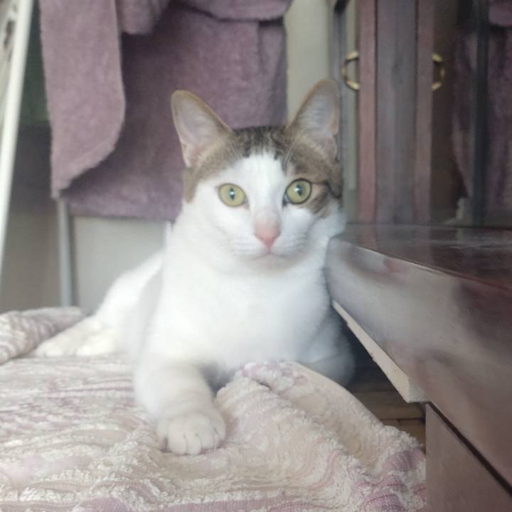 Efc06c5f cc25 4c83 a882 34f35971082e 1714519341054