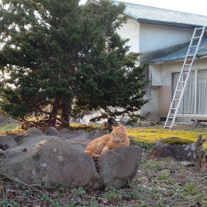 Efc0a3ca 89c1 4069 a84e bdfb0f741d16 1680250454889