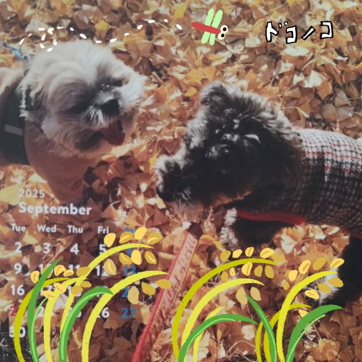 Efc0a9d8 82ab 4ab4 8cc9 b67aa63f0fc5 1761182134105