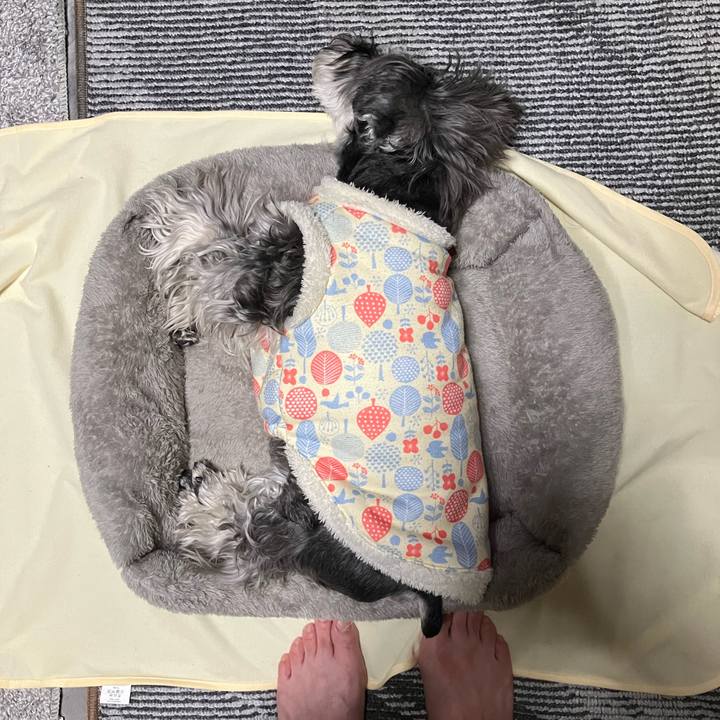 Efc0b0f5 a6d3 4e2a be55 c8917e883e85 1774182702119