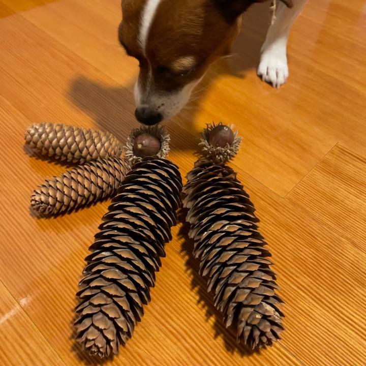 Efc116c3 9b5a 4b7c 9bc8 c1c70fa85aca 1635590455489