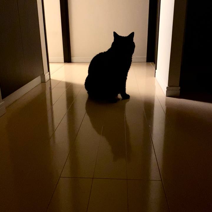 Efc13b2c 801d 476b 9654 1451041b2f90 1754567404124