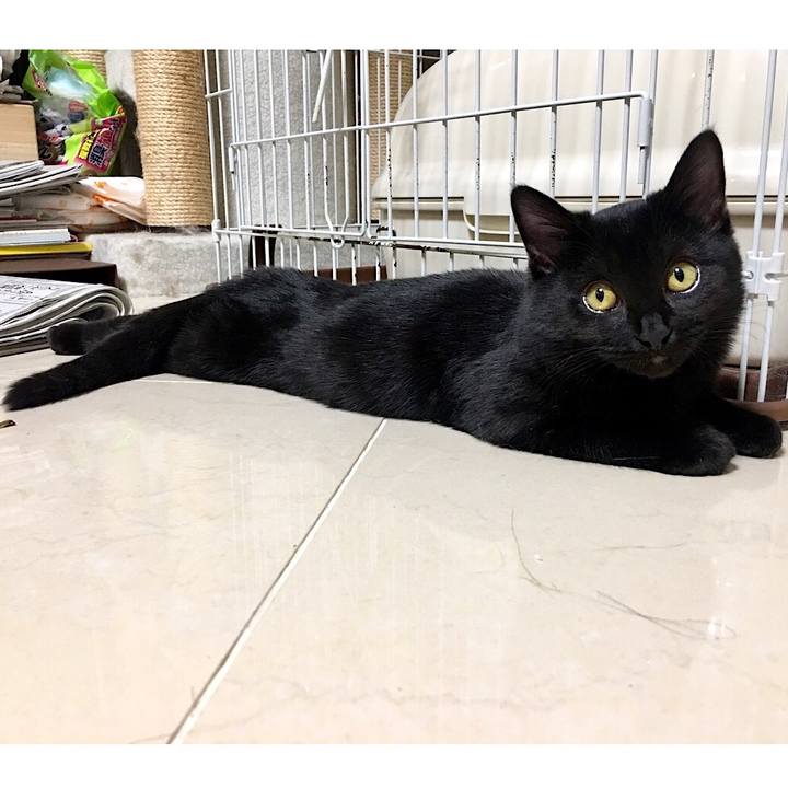 Efc180bb 842e 4b10 ad0d d58c60cc07c8 1542516428729