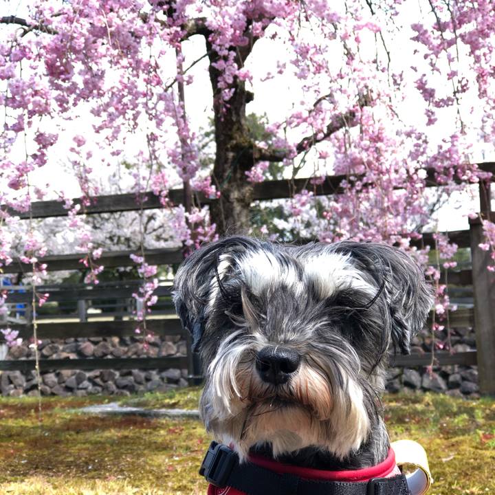 Efc1b369 76a7 4c1a 914a 8b5f37afbccb 1586607932930