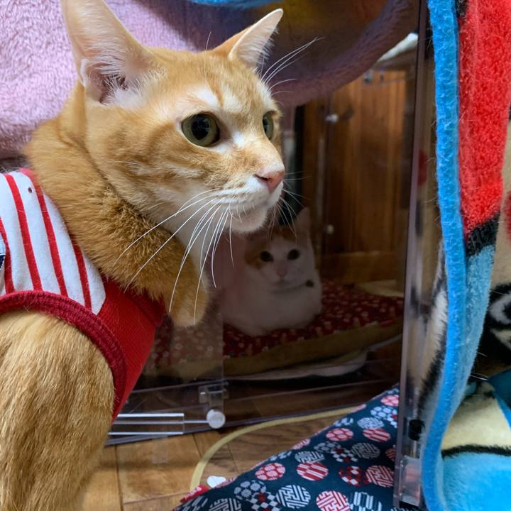 Efc1cbb9 1a40 4aa8 bdf3 6bb5c6f21c9b 1579088679977