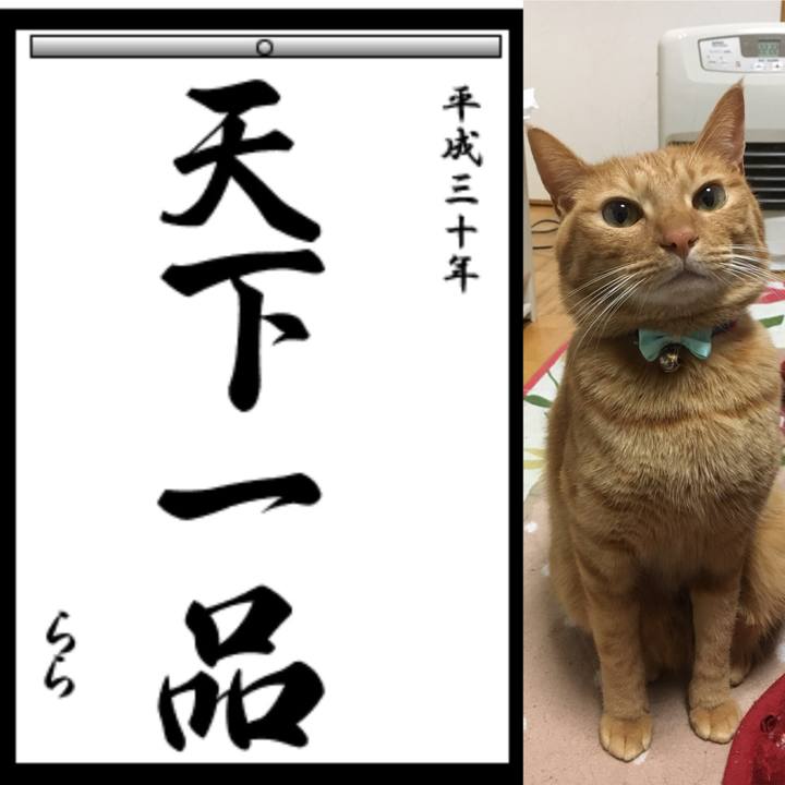 Efc22808 b063 4b34 8d9b e67d9344d09a 1515762110116