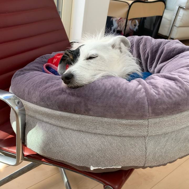 Efc241a8 ccc8 48c7 a408 721f3342aba1 1645407390373