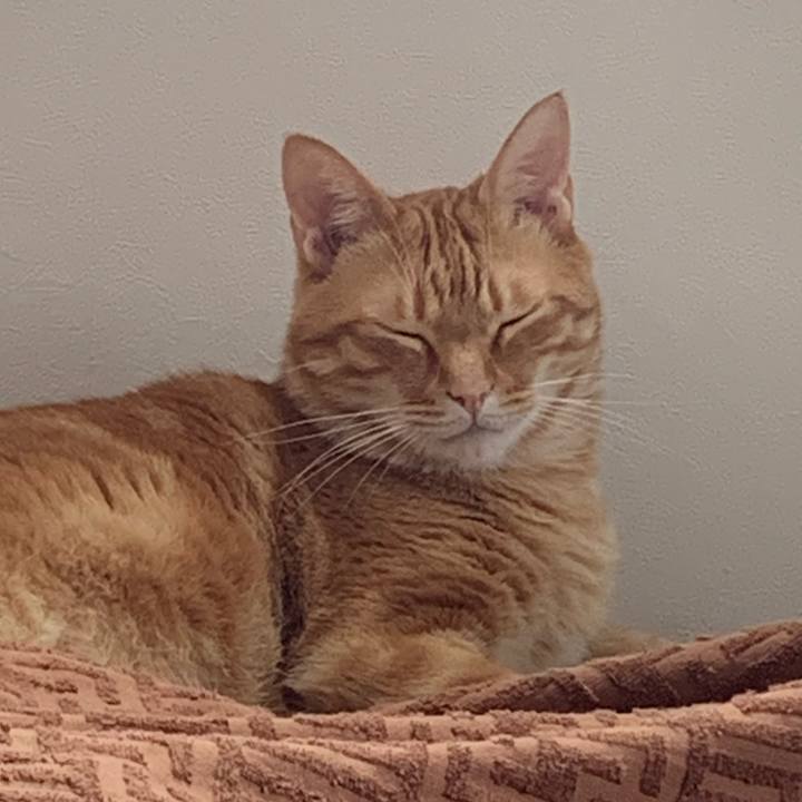 Efc24980 b2a8 4a46 a8ca 921f4c90ae56 1626300688100