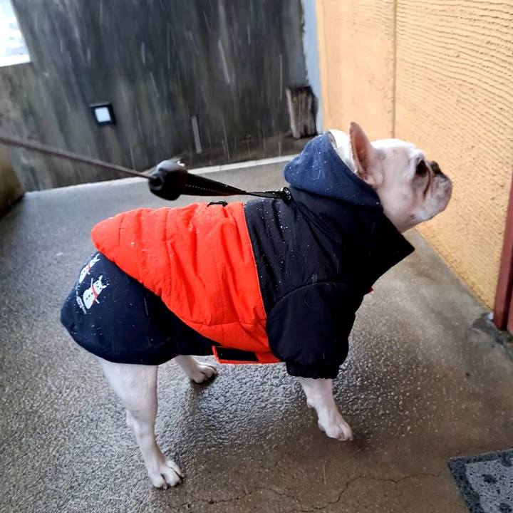 Efc24d6f da52 4e72 8739 ed268b7dc665 1707175270006