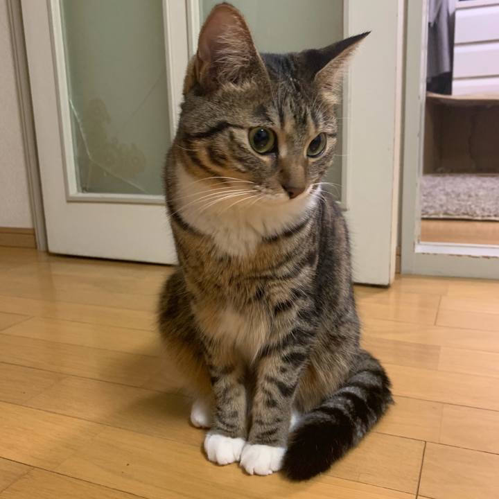 Efc2524d 2d45 4db3 bf12 21cce47fd62f 1544229278538