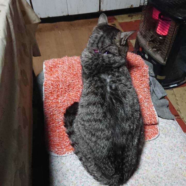 Efc29ce5 b7a9 4024 a027 b00376eb744a 1582836580566