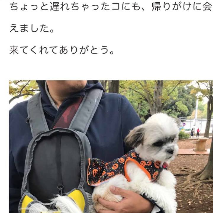 Efc2a559 0d9a 4855 b4e6 d00230409ca0 1517893454403