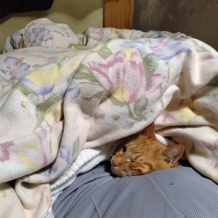 Efc2c91f 6b64 4f2b 9e37 3179313cef8a 1695817145698