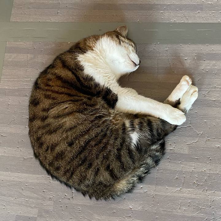 Efc2d0fe 81c0 44c5 9bee 6f7176cea7e7 1653453844102