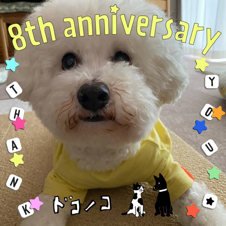 Efc30b42 3756 4602 b6b2 290db1a10462 1717563446735