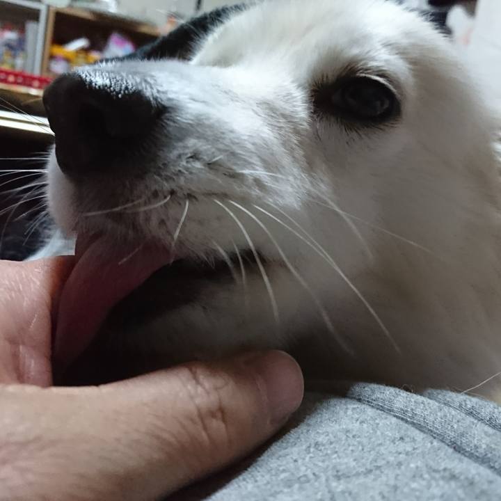 Efc3423c 3c3a 47ae 9280 b4285323ad6e 1515415000789