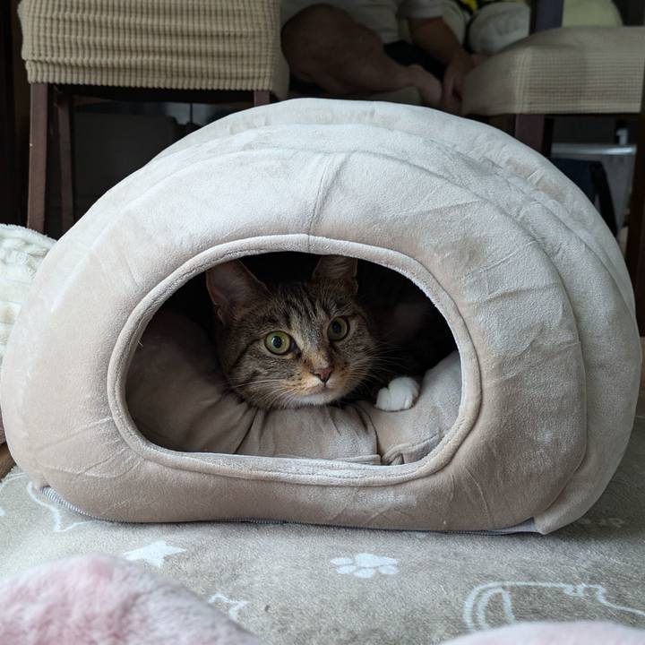 Efc3540e 58b0 4afb a90d 5d61dc812b28 1730530825717